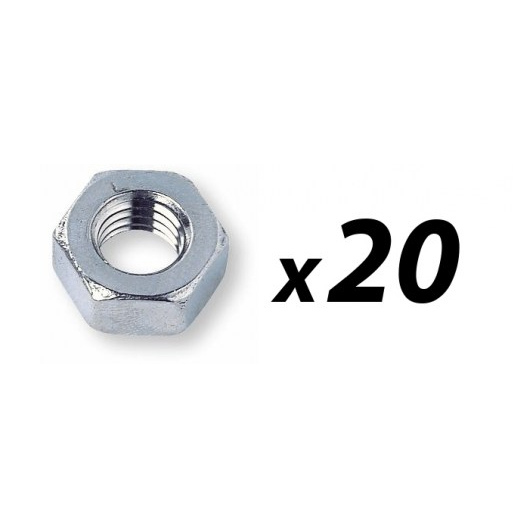 Pack of 20 Nut M6 - plated 