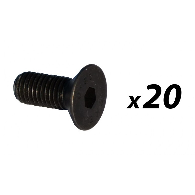 Pack of 20 Countersunk Hex Head Bolt M10 x 30mm  (Black)
