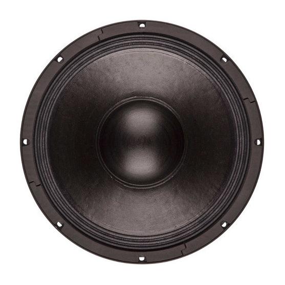 B&C 12NDL88 - 12 inch 700W 16 Ohm Loudspeaker