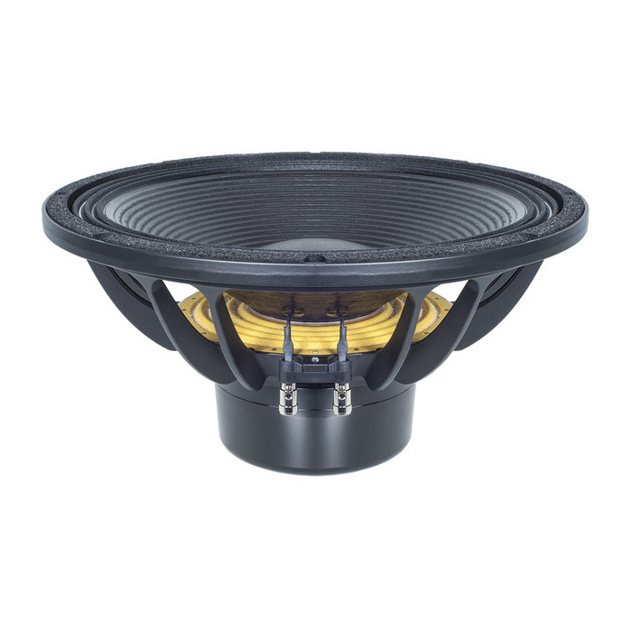 B&C 15DS100 - 15 inch 1700W 8 Ohm Loudspeaker