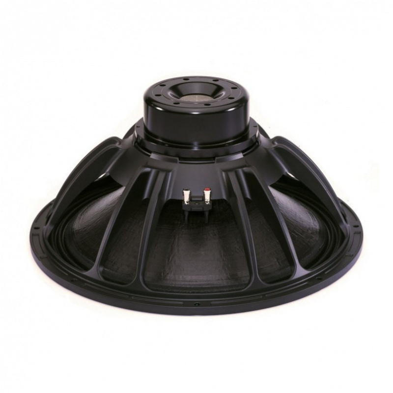 B&C 21DS115 - 21 inch 1700W 4 Ohm Loudspeaker