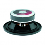 B&C 6PEV13 - 6 inch 120W 8 Ohm Loudspeaker