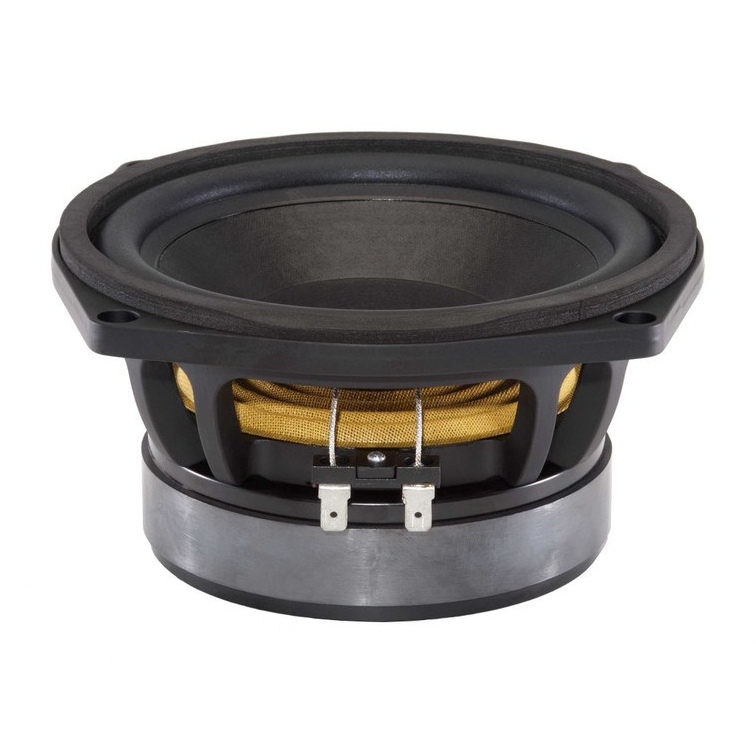 B&C 6PS44 - 6 inch 200W 8 Ohm Loudspeaker