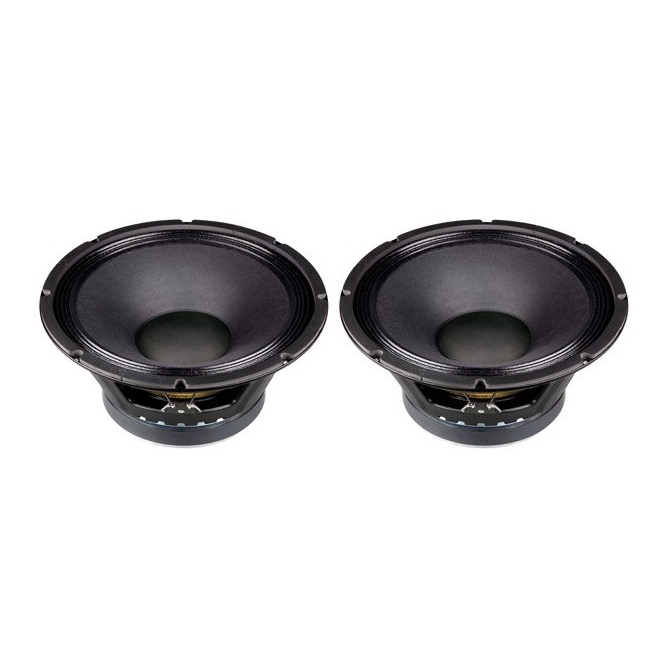 p audio 12 inch 300 watt speaker