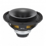 RCF CX10N251 - 10 inch 300W 8/8 Ohm