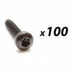 100 Pack of Torx Head Pan Machine Screw M4 X 30mm (Black) 